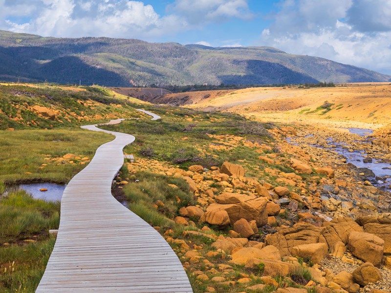 Gros-Morne et ses roches orangées