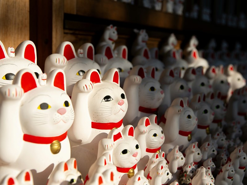 Le temple aux chats de Tokyo