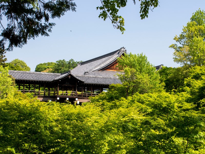 Tōfuku-ji, l’un des plus beaux temples zen de Kyoto