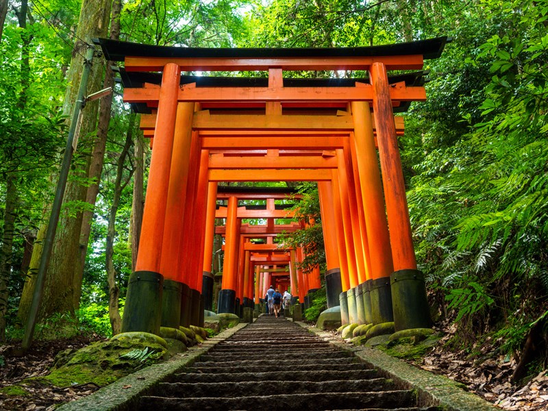 Fushimi Inari Taisha, le sanctuaire le plus emblématique de Kyoto