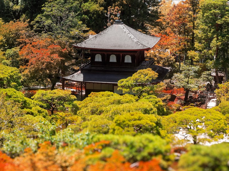 Une atmosphère zen au coeur de jardins japonais
