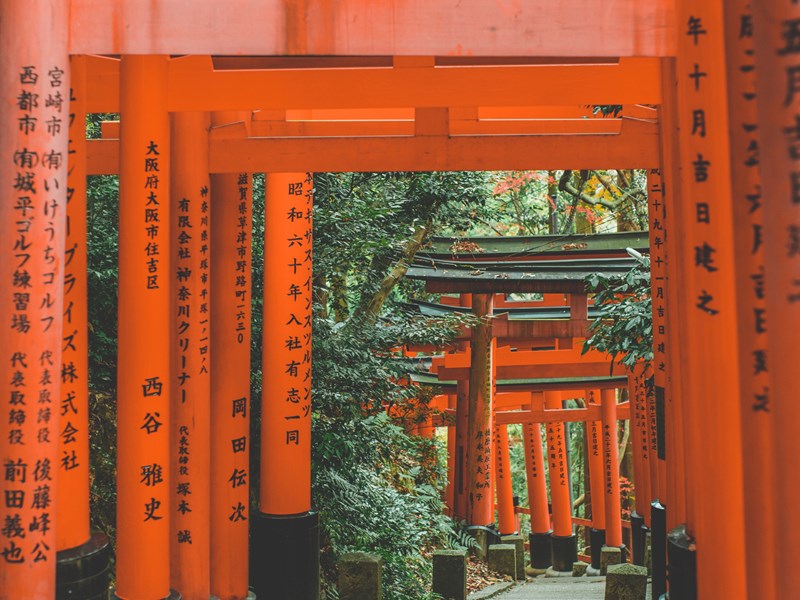 Les torii rouges marquent l’entrée des sanctuaires shinto