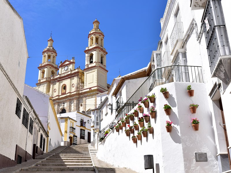 Découvrez la grande église de la Encarnación