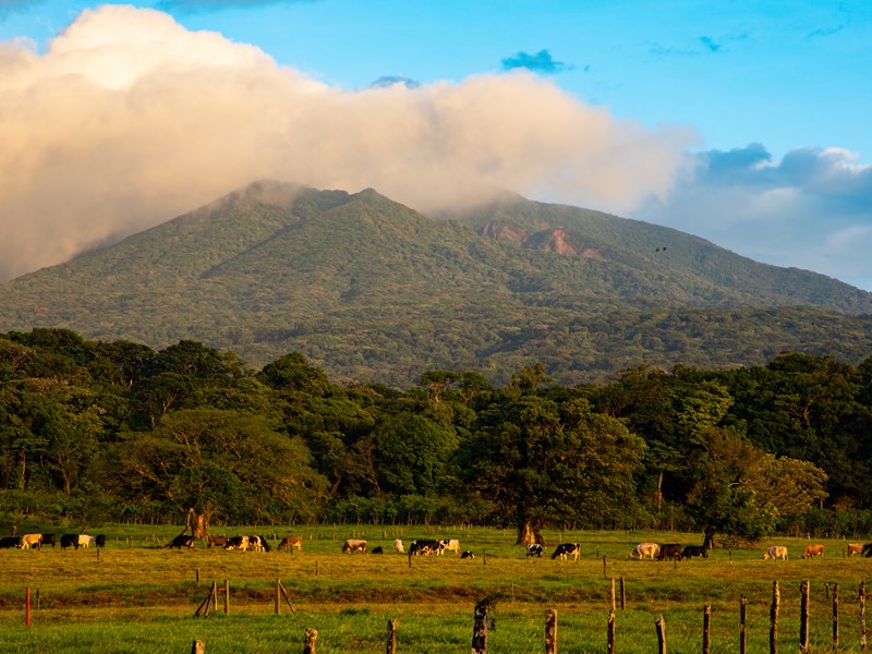 Volcan Rincon