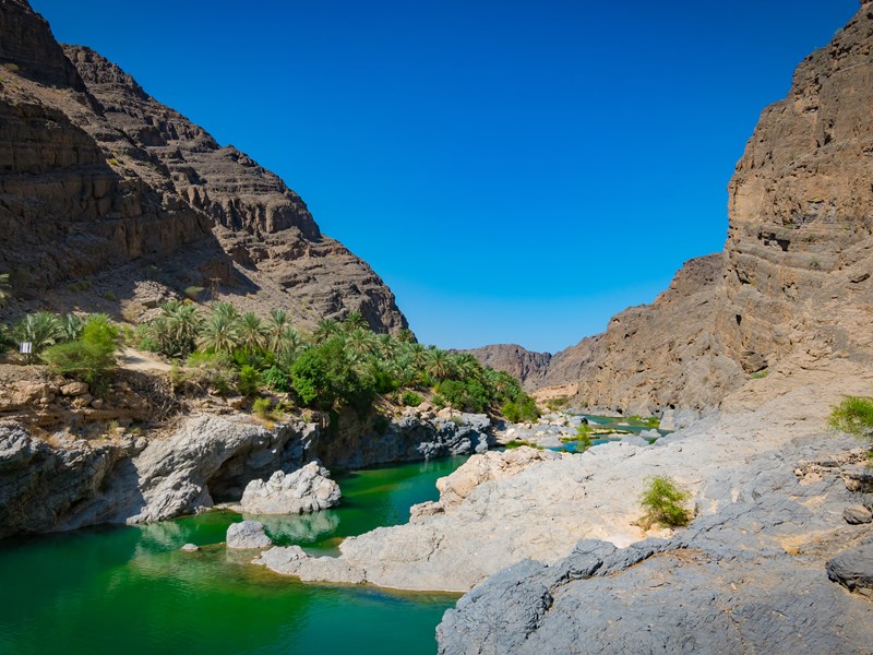 L'oasis d'eau turquoise Wadi Al Arbeieen