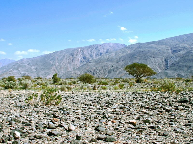Le Wadi Mistal, un des plus longs d'Oman