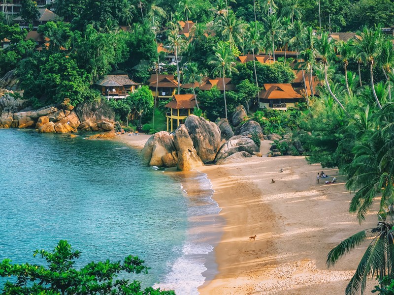 Découvrez les plages sauvages de Koh Samui