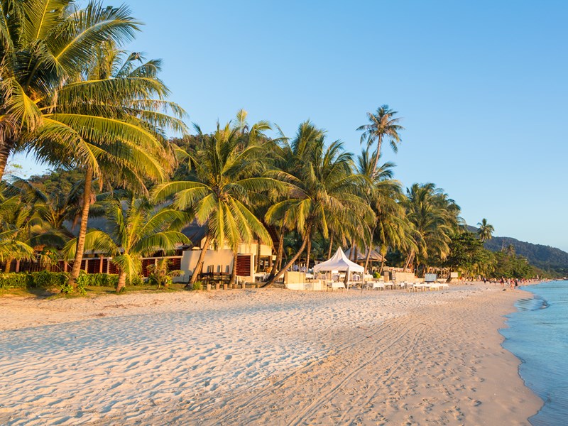 Admirez le coucher de soleil sur les plages bordées de cocotiers