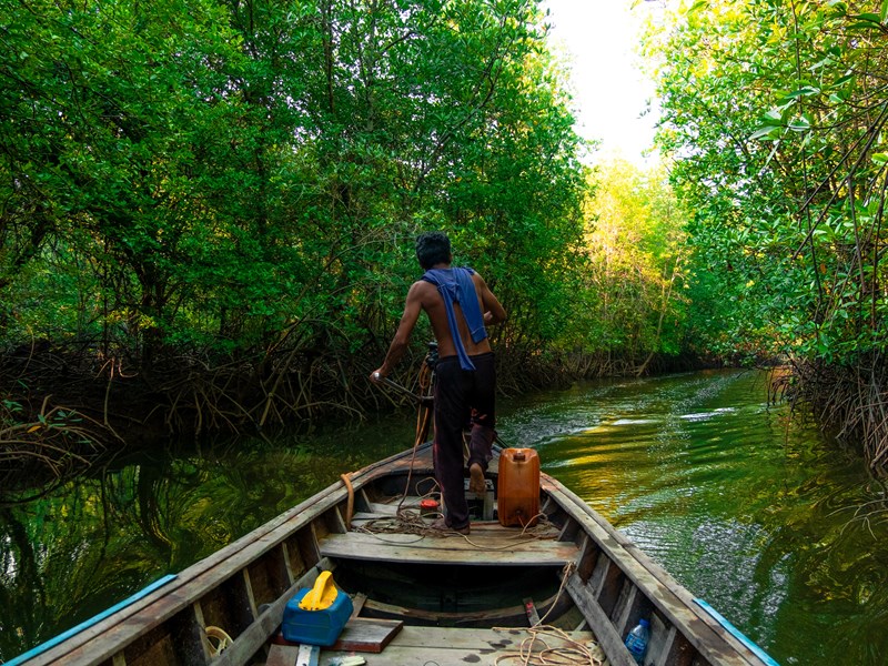 Offrez-vous une balade dans la mangrove de Koh Yao