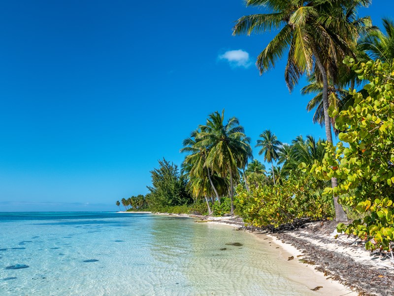 Canto de la Playa, Saona Island
