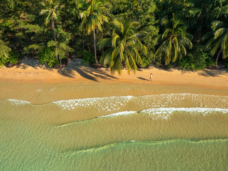 Un environnement entre sable blond et forêt