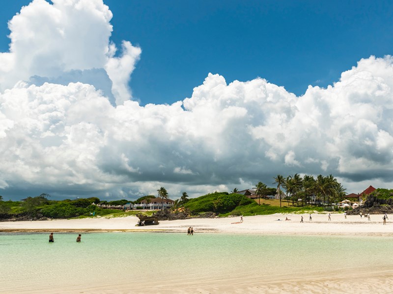 Rivage de Watamu