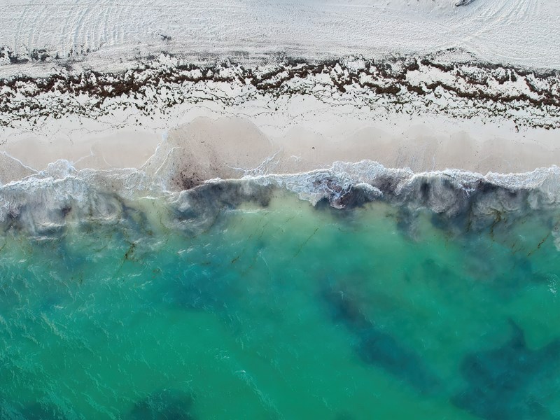 Eaux turquoise à Playa Mujeres