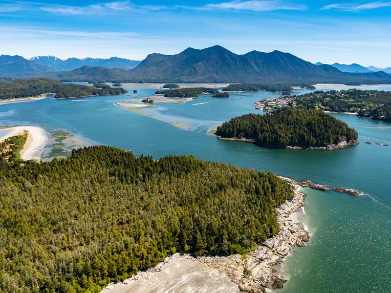 Tofino, entre lac et forêt