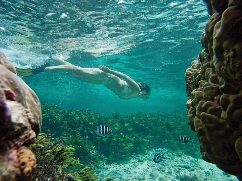 Les amateurs de plongée et de snorkeling profiteront de leur séjour à Mahé pour découvrir la richesse des fonds marins de l'île