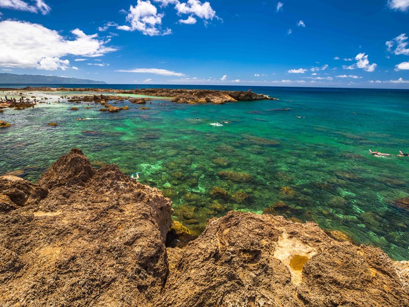 Le Sharks Cove, un excellent spot de snorkeling