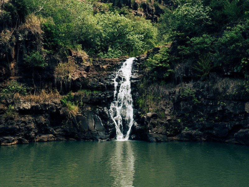 Waimea Falls Park 