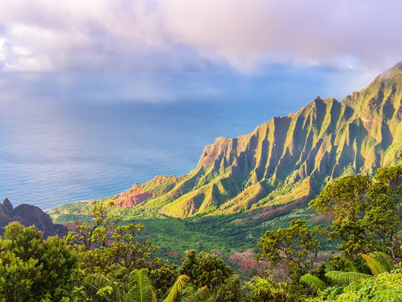 Le Koke'e State Park