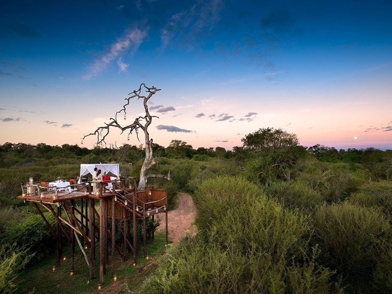 Chalkley Treehouse du Lion Sands en Afrique du Sud
