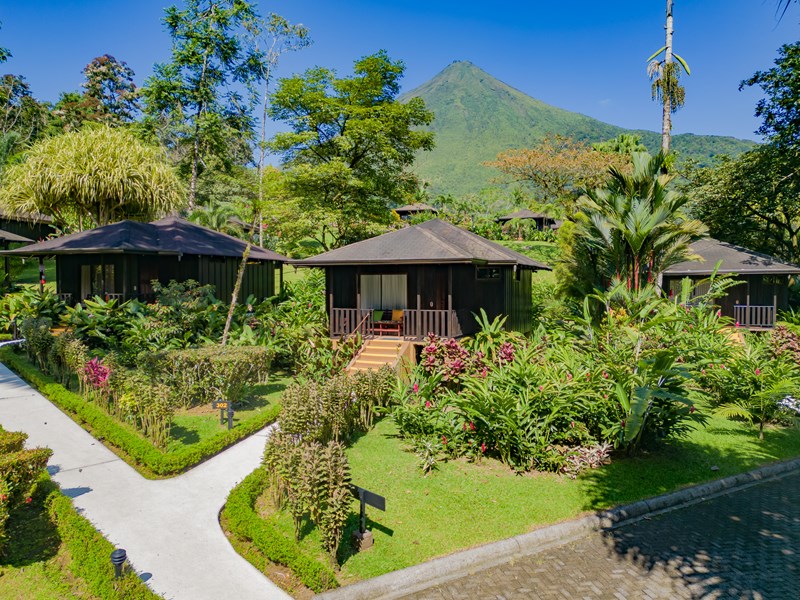 Des bungalows nichés dans une nature luxuriante