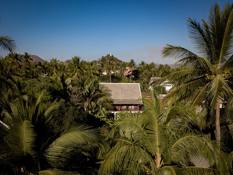 Une oasis tropicale aux portes du centre historique