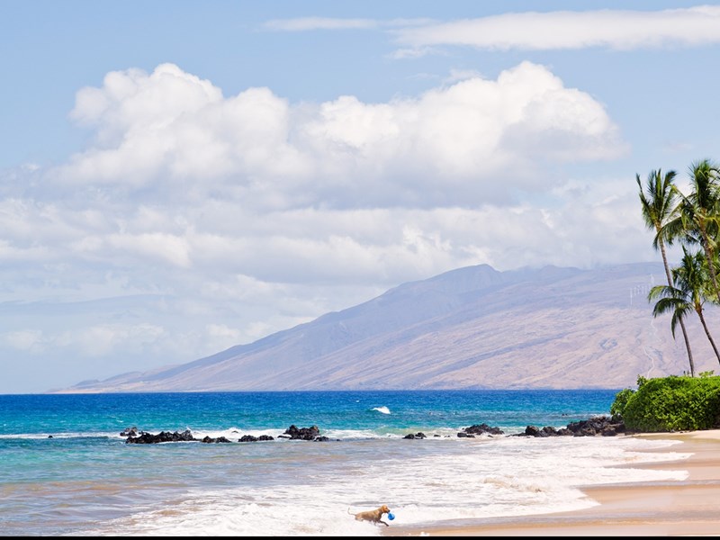 Maui- Wailea