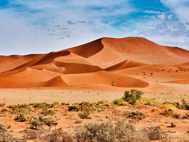 Un des plus beaux désert au monde