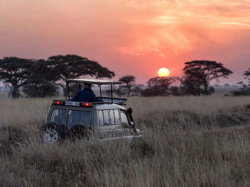 Un safari dans le Serengeti au coucher du soleil