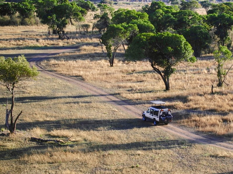 Faites un safari guidé en Tanzanie