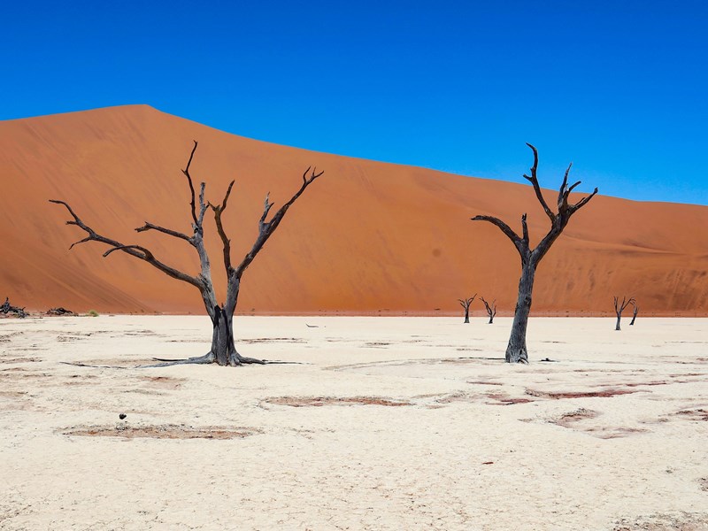 Le parc Namib-Naukluft en Namibie 