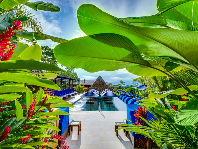 La superbe piscine