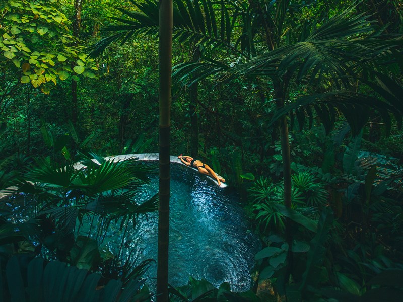 Immersion au coeur de la nature