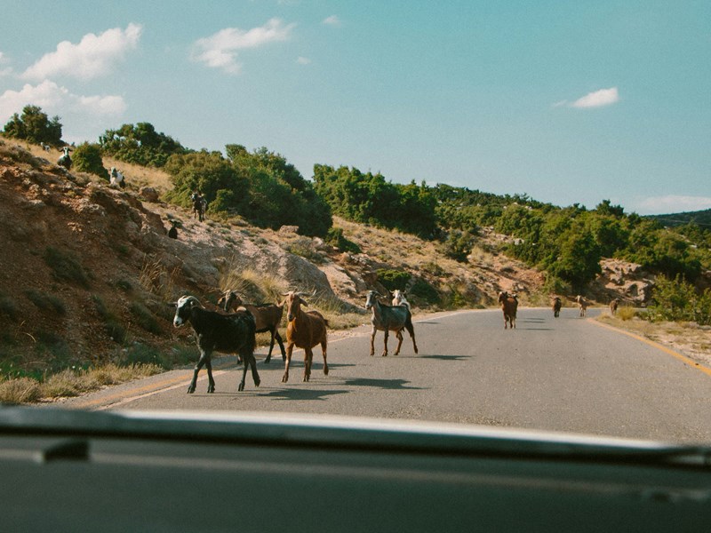 Roadtrip dans les routes authentiques du Péloponnèse