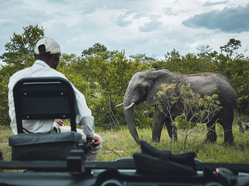 Au plus près des éléments en Afrique du Sud