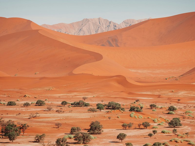 Le paysage exceptionnel du désert du Namib