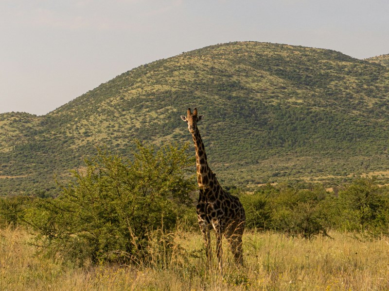 Prenez des photos mémorables