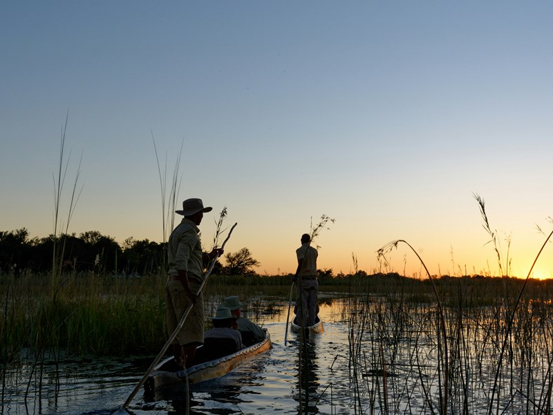 Un safari en mokoro traditionnel