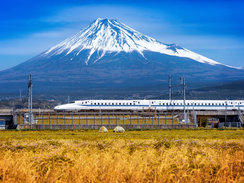 Des transports d’une précision remarquable