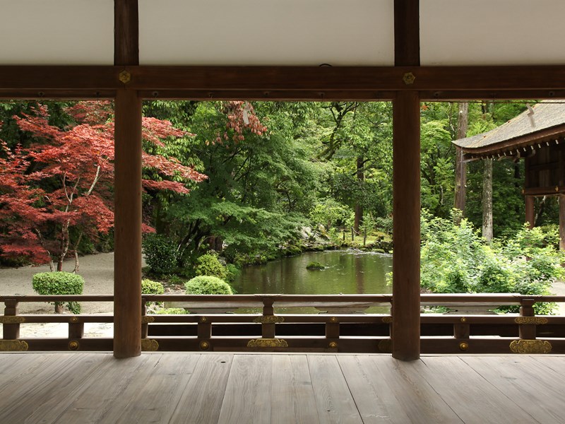 Laissez-vous porter par l’atmosphère singulière