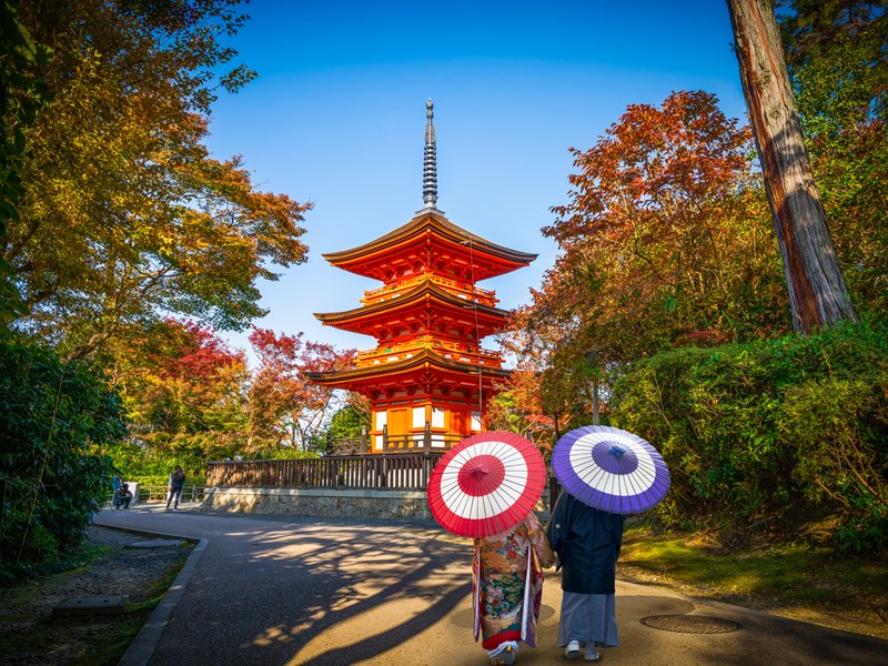 Kyoto et ses temples majestueux