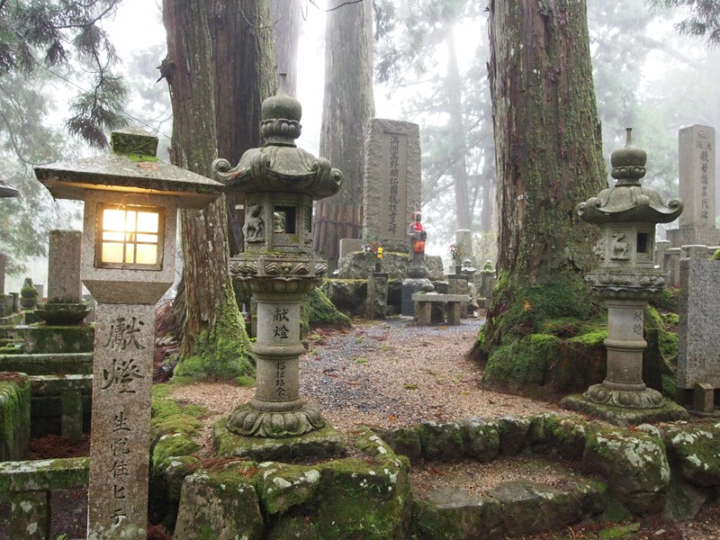 Expérience authentique au Mont Koya