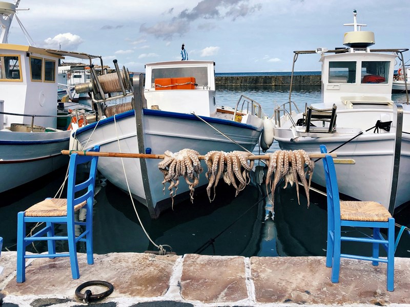 Découvrez les produits frais sur le port