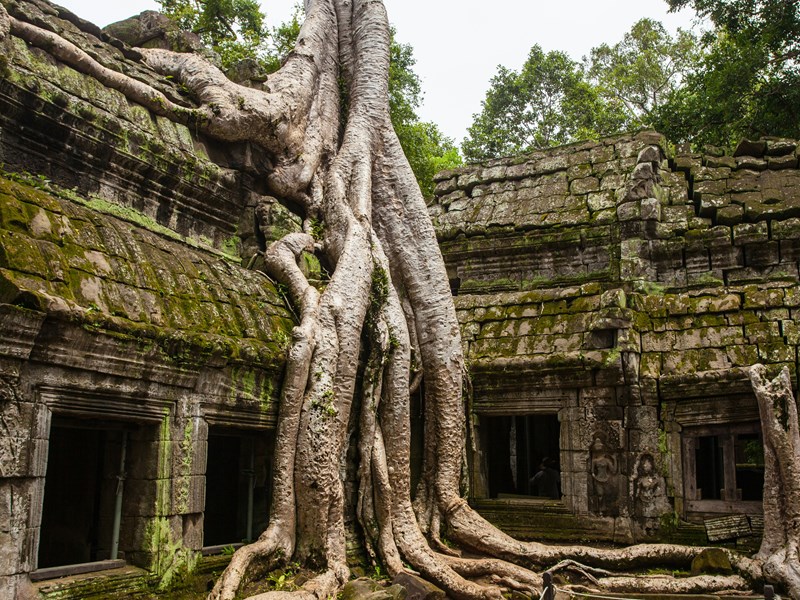 Profitez en pour visiter les temples d'Angkor au Cambodge