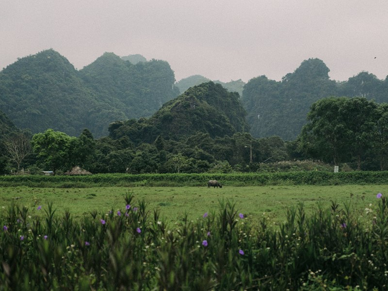 La vie à la campagne, du côté de Mai Chau