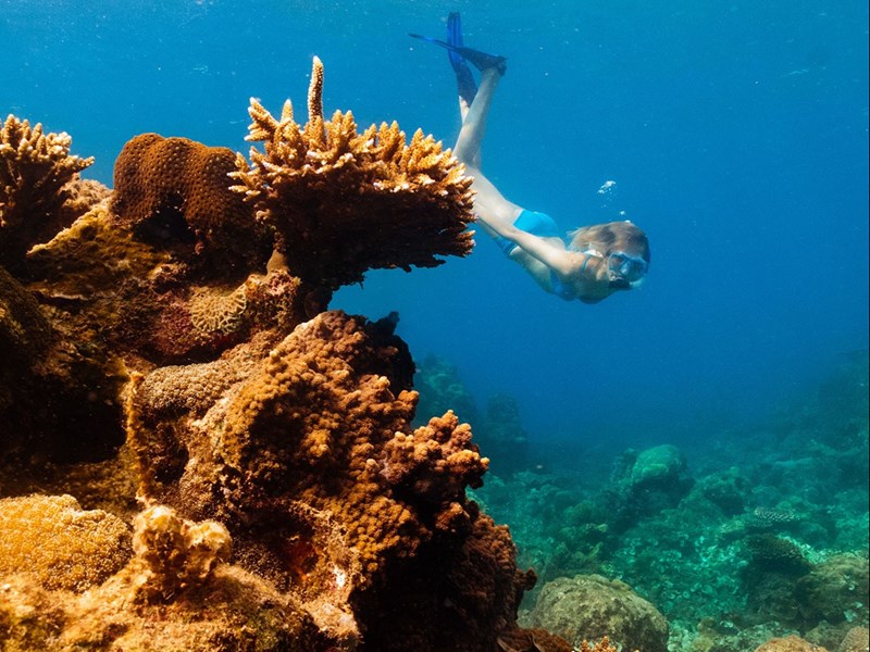 Essayez-vous au snorkeling à Con Dao