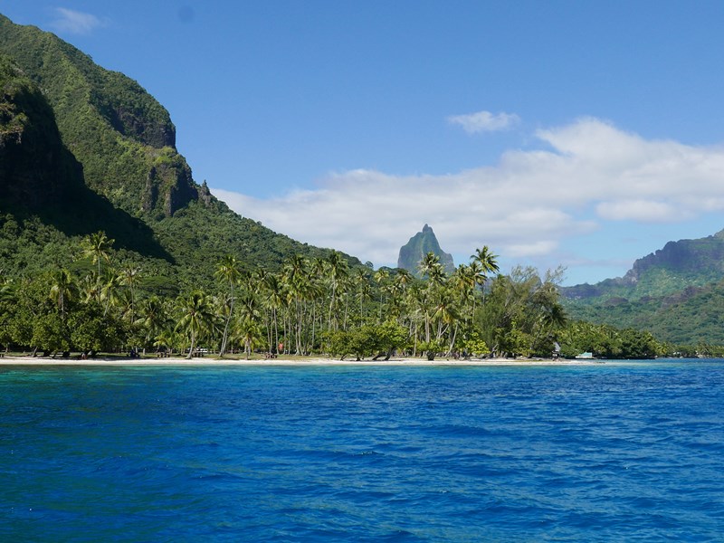 Cap sur le joyau polynésien, Moorea