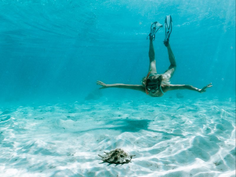 Session snorkeling au coeur du lagon