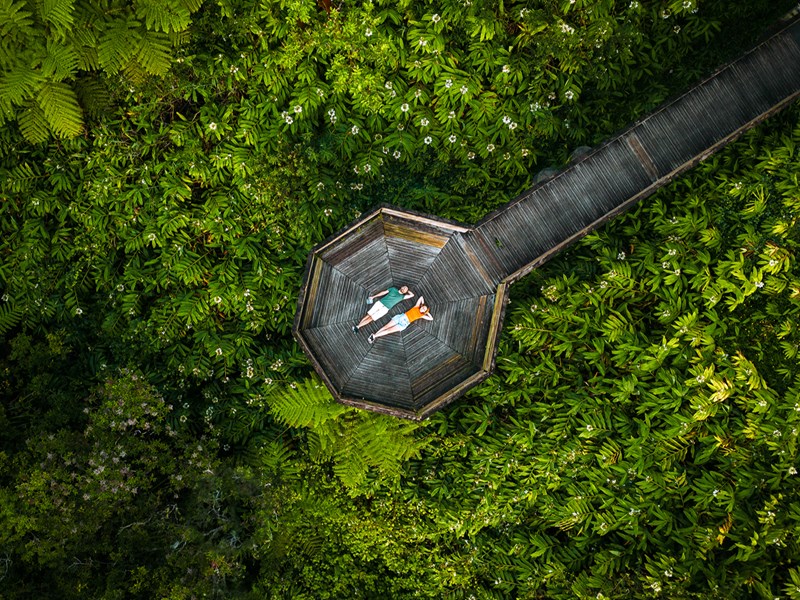 Prenez en plein les yeux au belvédère de Takamaka