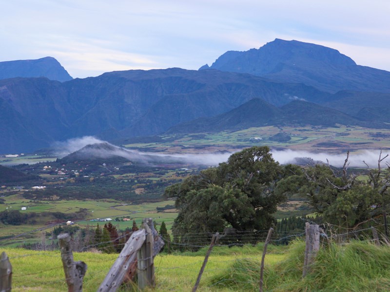 La Plaine des Cafres dans la brume