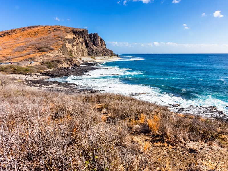 Venez admirer les couleurs du Cap de la Houssaye